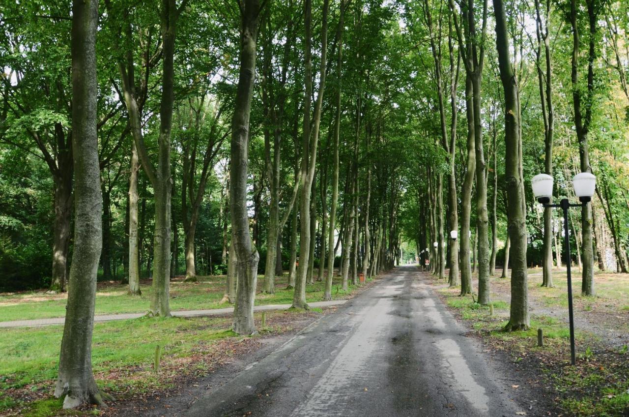 De Kerselaar Daire Aan de Wolfsberg Dış mekan fotoğraf